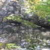 Tokyo_Rikugien_Park_11